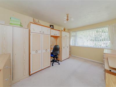Picture 16